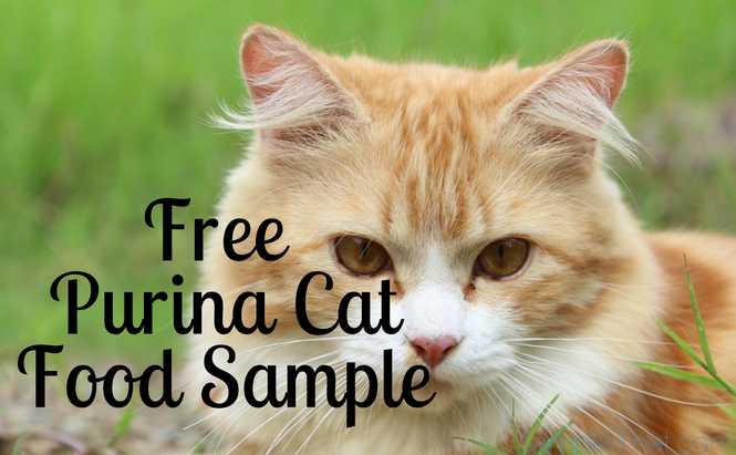 Free Purina Cat Food Sample